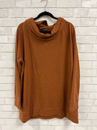 Burnt Orange Turtleneck Tunic - Natural Reflections