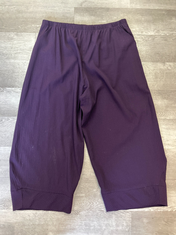 Purple Grid Lantern Pant - Niche