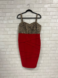 Leopard/Red Dress - Torrid