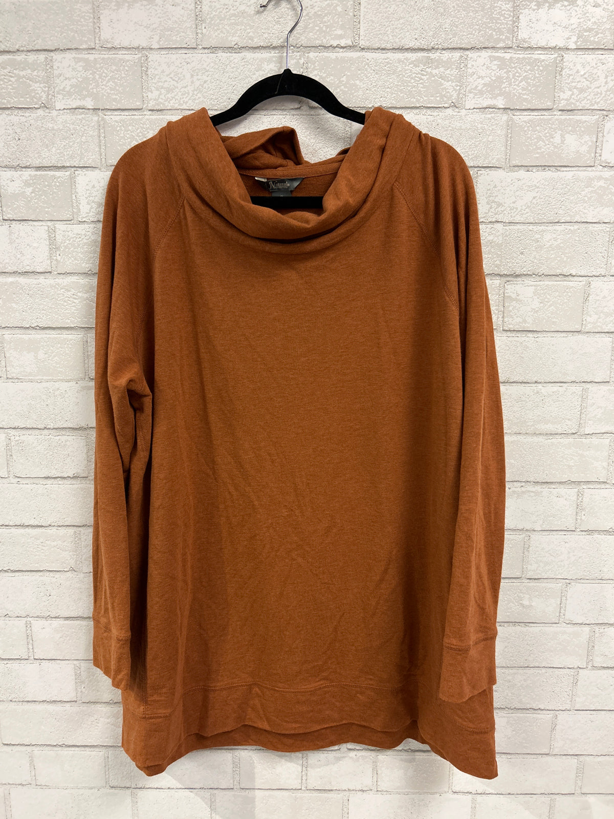 Burnt Orange Turtleneck Tunic - Natural Reflections