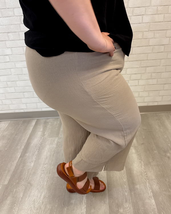 Paula Pant | Taupe