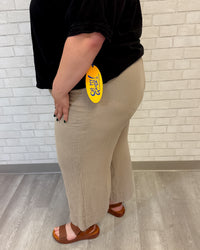 Paula Pant | Taupe